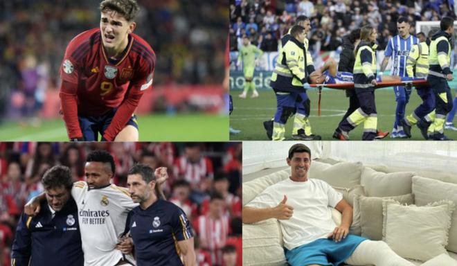 不仅展示了 不仅展示了