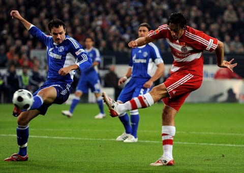 年轻新秀的 年轻新秀的